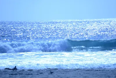 DSC_5002 (Large).JPG